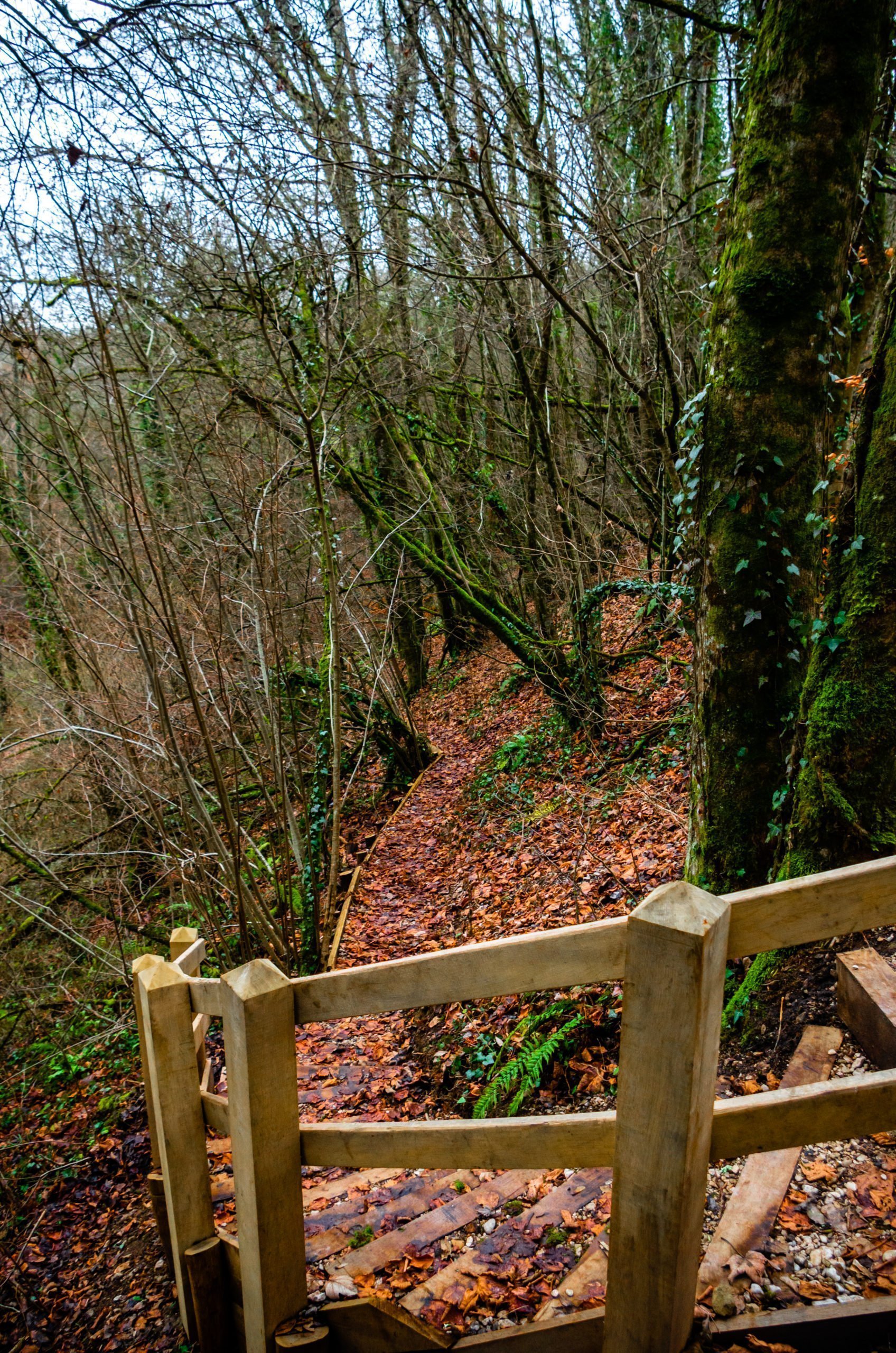 Suite de l'escalier d'accès à la résurgence