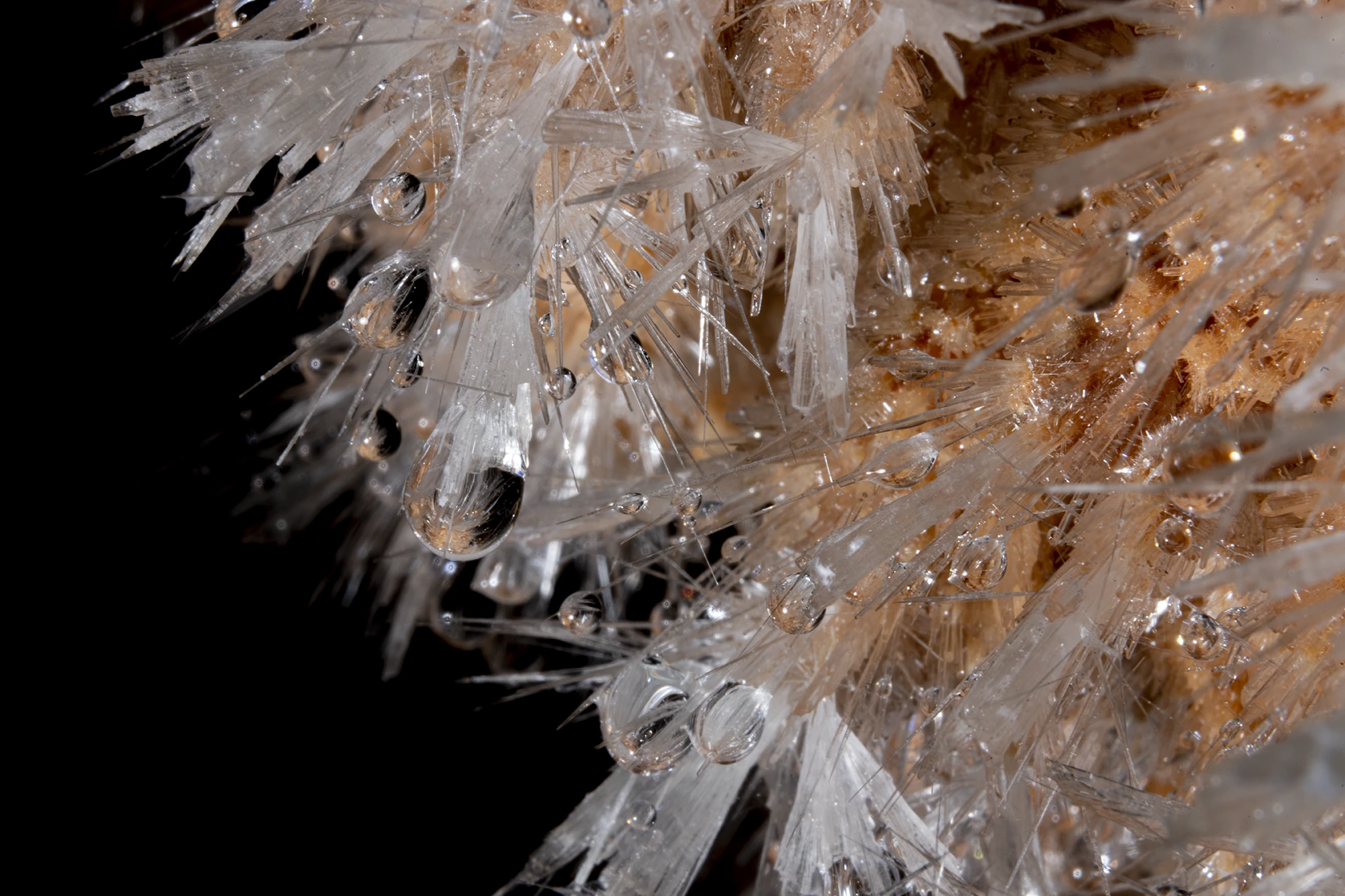 Aiguille d'aragonite avec gouttes d'eau piégées dans la Grotte de Clamouse